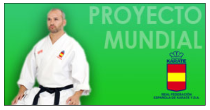 holistic-kárate-proyecto-mundial